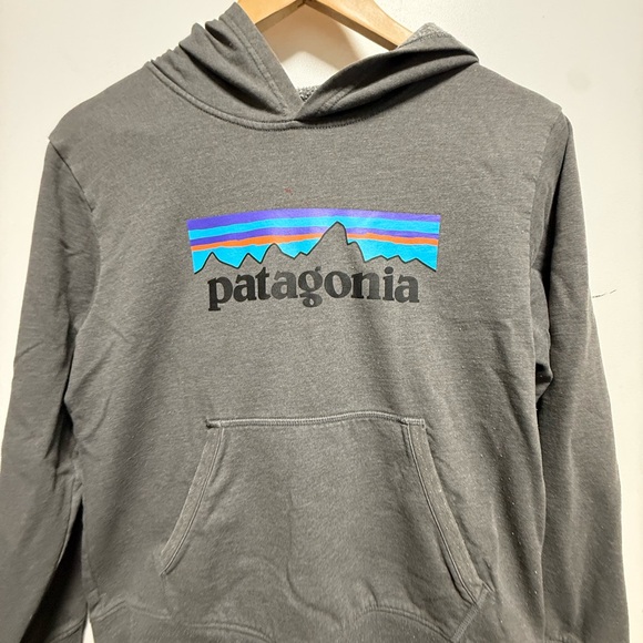 Patagonia Charcoal Hoodie with Logo Size Xl - Picture 2 of 6